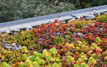the cost of Berkley Marsh green roof installation
