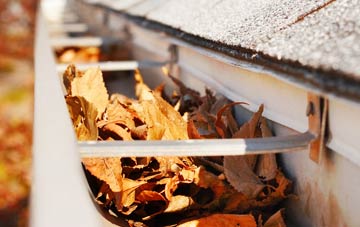 Berkley Marsh gutter cleaning companies