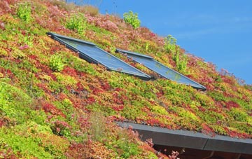 Berkley Marsh living roof systems