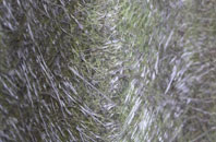 Berkley Marsh fibreglass roof work