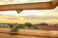 rated Berkley Marsh roof window companies